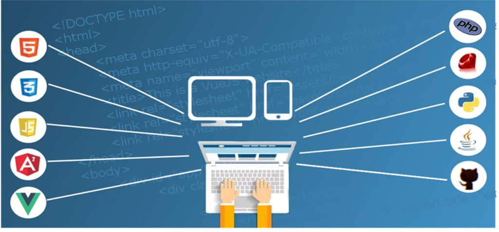 Web development 